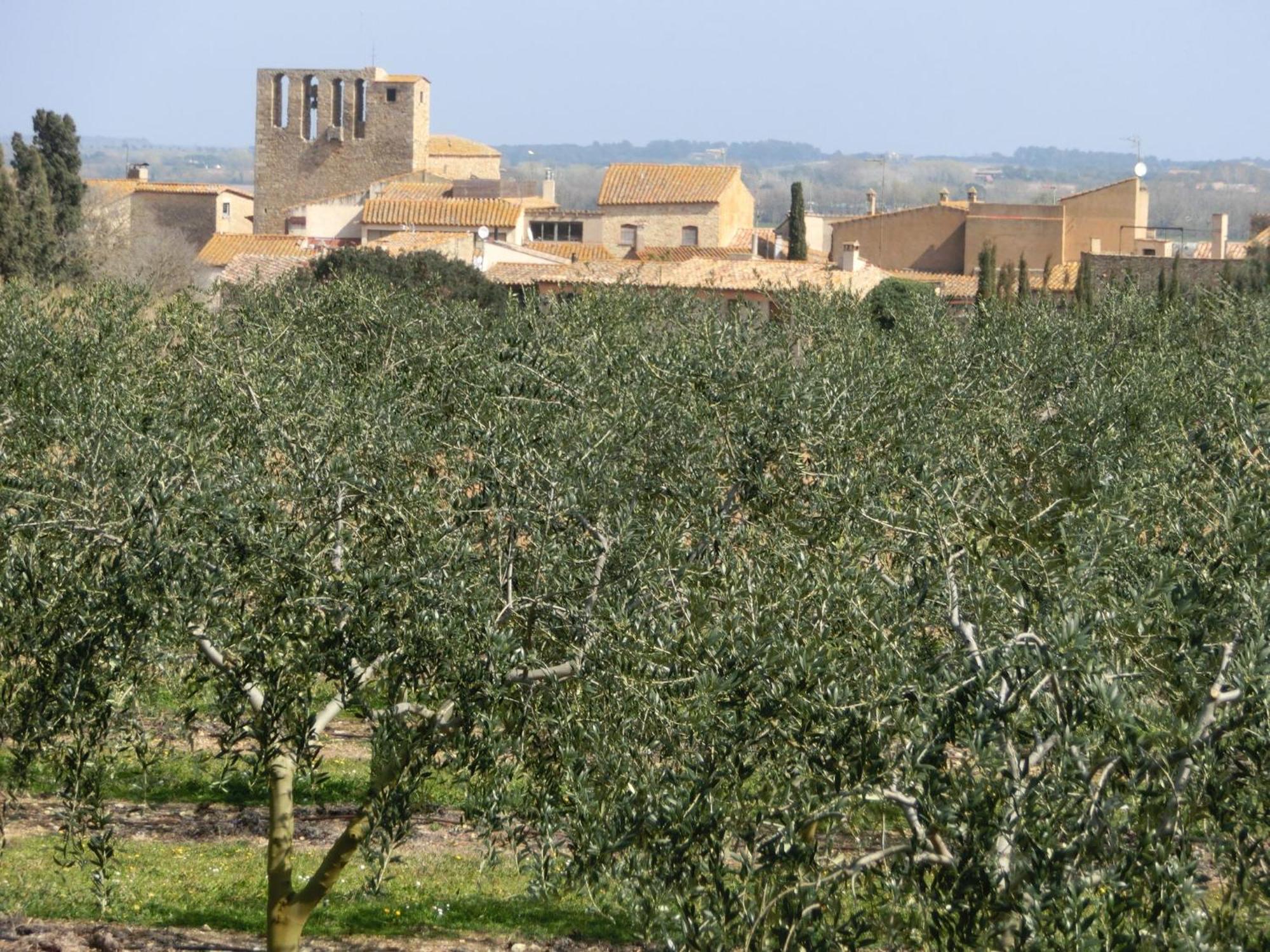 Can Barrull-Costa Brava-Emporda Sant Feliu de Boada ภายนอก รูปภาพ