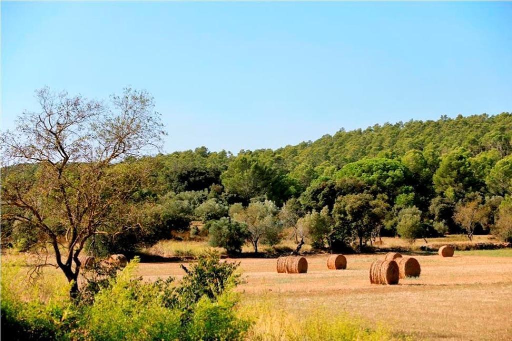 Can Barrull-Costa Brava-Emporda Sant Feliu de Boada ห้อง รูปภาพ